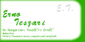 erno teszari business card